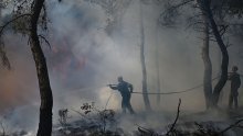 Apokaliptični šumski požar u Grčkoj spalio područje veće od New Yorka