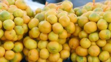 BiH zabranila uvoz dvije tone mandarina iz Hrvatske zbog pesticida