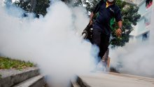 Virus zika više nije prijetnja svjetskom zdravlju