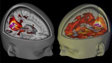 Snimke otkrivaju tajne djelovanja LSD-ja