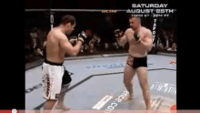 Cro Cop preživio najbolji nokaut svih vremena