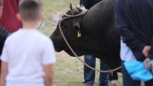 Muškarac ozlijeđen na bikijadi još uvijek u bolnici, podnesene dvije kaznene prijave