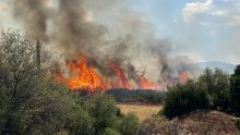 Vatromet s jahte izazvao šumski požar, građani bijesni