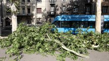 Nevrijeme srušilo stablo na prugu i prekinulo tramvajski promet u Zagrebu