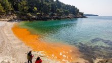 Sluz sve češća na našim plažama. Upitali smo znanstvenike što se to događa