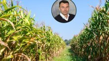 Monsanto ne planira rentirati ni kupovati zemljište u Hrvatskoj