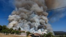 Lokaliziran veliki šumski požar na području Barbana: Kuće su obranjene