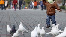 Ptičja gripa H7N9 se proširila na još jednu pokrajinu