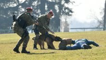 Upozorenje s Pantovčaka: Pojačana buka zbog helikoptera i eksplozija