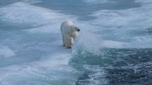 Znanstvenici: Dugo istražujemo klimatske promjene, ali ne možemo objasniti ovo što vidimo