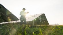 Spajanje solarnih panela s poljoprivredom daje nevjerojatne rezultate: 'Uspjeli smo izvući više iz zemlje'