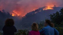 Kako su šumski požari povezani s klimatskim promjenama? Određene regije sve izloženije ovom riziku