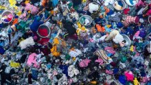 Znanstvenici upozoravaju: U mozgu imamo više plastike nego što mislimo