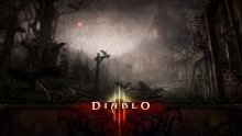 Diablo 3 bez "ultra" postavki, multiplayer ograničen na 4 igrača