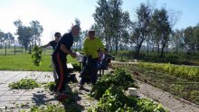 Bandićevih 'par slobodnih sati između obaveza'