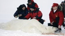 Putin s polarnim medvjedom na Arktiku