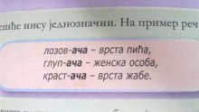 Školarci u Srbiji uče da 'glupača' znači ženska osoba