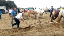 Maras se pohvalio time da ore plugom