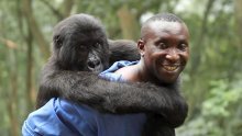 Britanski film 'Virunga' odnio dvije nagrade sa ZagrebDoxa