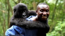 Kandidat za Oscara 'Virunga' na ZagrebDoxu