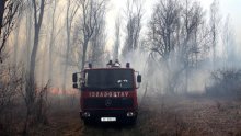 Šišljagić sumnja da su požari podmetnuti