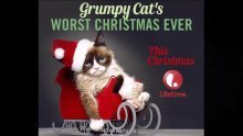 Grumpy cat dobila ulogu u holivudskom filmu