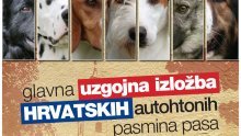 Uskoro izložba hrvatskih autohtonih pasmina