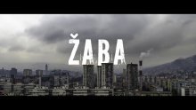 U konkurenciji ZFF-a i film 'Žaba' koji je nastao iz festivalske radionice