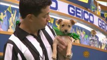 Mislite da je Super Bowl kul? Pogledajte Puppy Bowl!