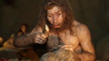 Ne smije se ponoviti greška Muzeja krapinskog neandertalca