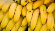 Prodavačica u trgovačkom centru u Pločama među bananama pronašla oko 18 kilograma kokaina