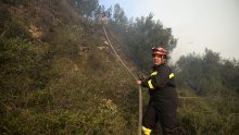 Lokaliziran požar na Korčuli, izgorjelo 10 hektara borove šume