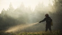 U Dugom Ratu u požaru izgorjelo 10 hektara mlade borovine