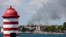 Gori borova šuma na predjelu Kožino u Zadarskoj županiji