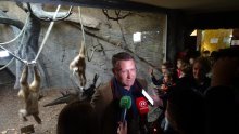 Giboni u zagrebačkom ZOO-u ovako su prognozirali rezultat utakmice Hrvatska - Španjolska