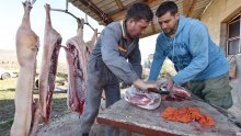 Znate li kako propisno zaklati svinju i zašto tradicija kolinja pomalo nestaje?