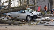 Stablo kestena palo na auto u pokretu u Trnjanima