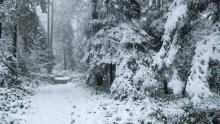 Sljeme pod snijegom, ali bez gostiju