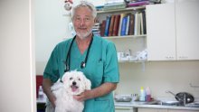 Pitali smo poznatoga veterinara koji su psi opasni, mogu li se podizati uz bebe i što o svemu kaže zakon