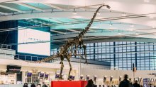 Dinosaur Skinny oduševljava putnike u zračnoj luci Heathrow