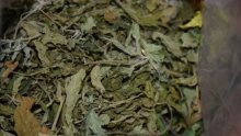 Uhićen s 2,5 kilograma marihuane