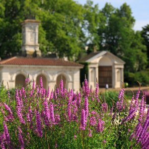 Parkovi Londona - Kensington Gardens (Talijanski vrt)