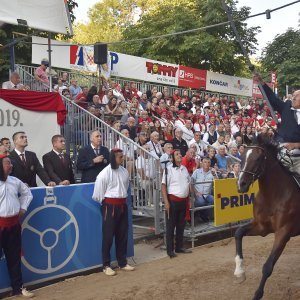 Alkar Ivo Zorica pobjednik 304. Čoje