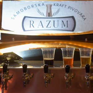 Zadar Craft Beer Festival