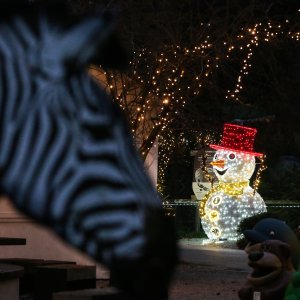 Zagrebački ZOO vrt okićen s nekoliko tisuća lampica