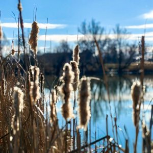 Serija fotografija 'Boje'