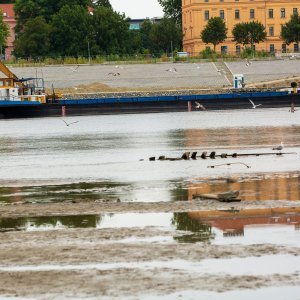 Vodostaj Drave u Osijeku