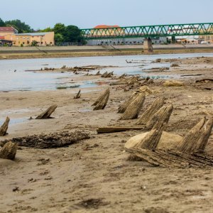 Vodostaj Drave u Osijeku