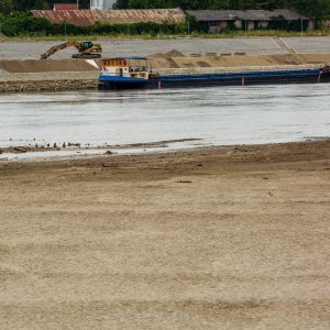 Vodostaj Drave u Osijeku