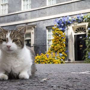 Dan neovinosti Ukrajine u Londonu